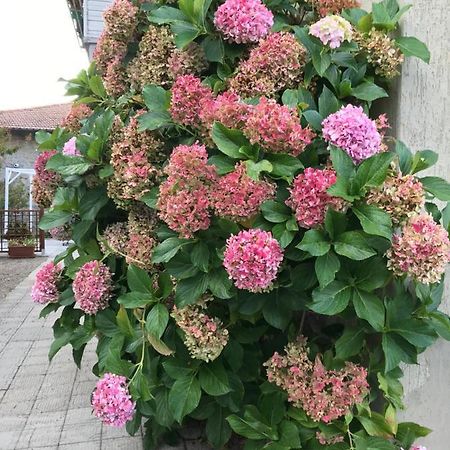 Casa Ortensia Chiusi della Verna Luaran gambar